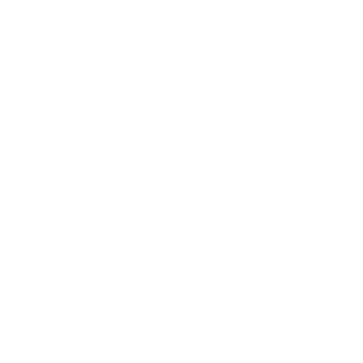 Bag Icon